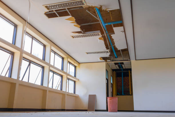 Best Water damage cleanup near me  in East Bakersfield, CA