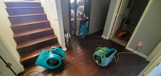 Best Mold removal after water damage  in East Bakersfield, CA