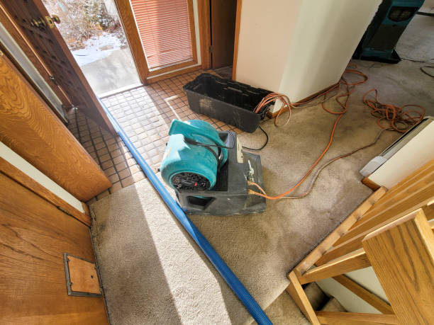 Best 24-hour water damage restoration  in East Bakersfield, CA