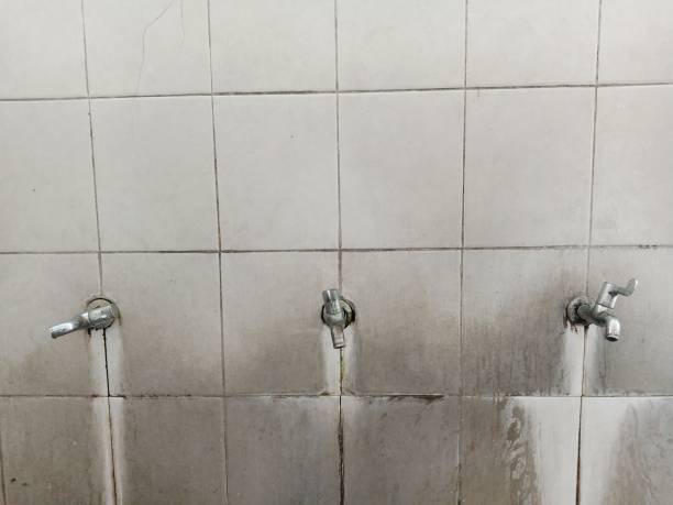 Best Water damage mitigation services  in East Bakersfield, CA