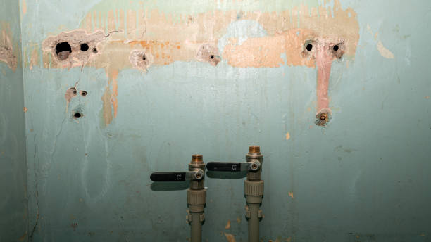 Water damage restoration experts in East Bakersfield, CA