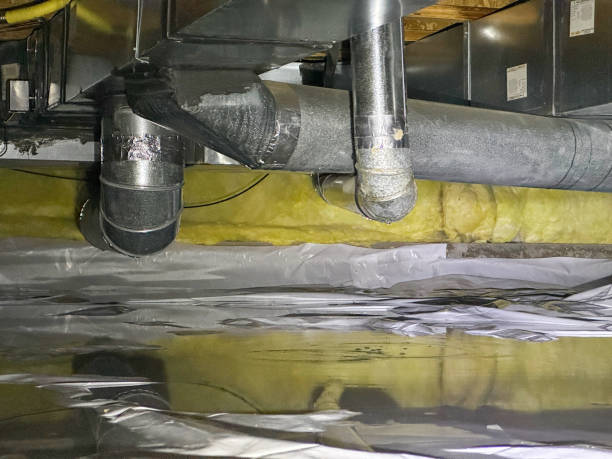 Best Water damage cleanup near me  in East Bakersfield, CA