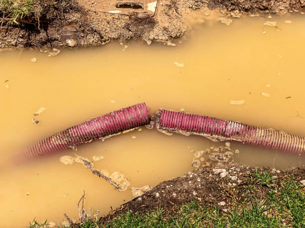 Best Flood restoration services  in East Bakersfield, CA