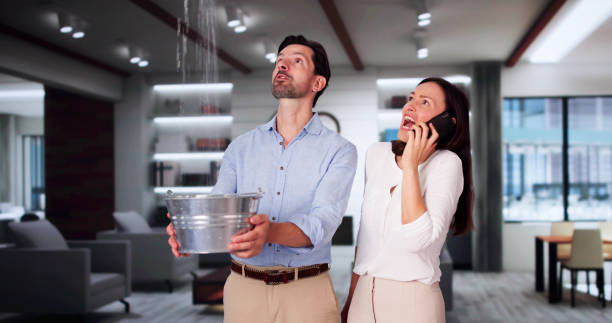 Best Water damage contractors near me  in East Bakersfield, CA