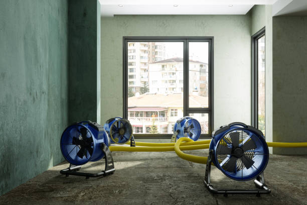 Best Water damage restoration experts  in East Bakersfield, CA
