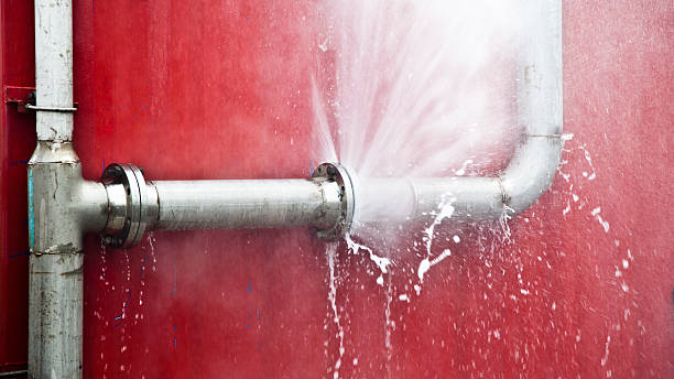 Best Professional water damage repair  in East Bakersfield, CA